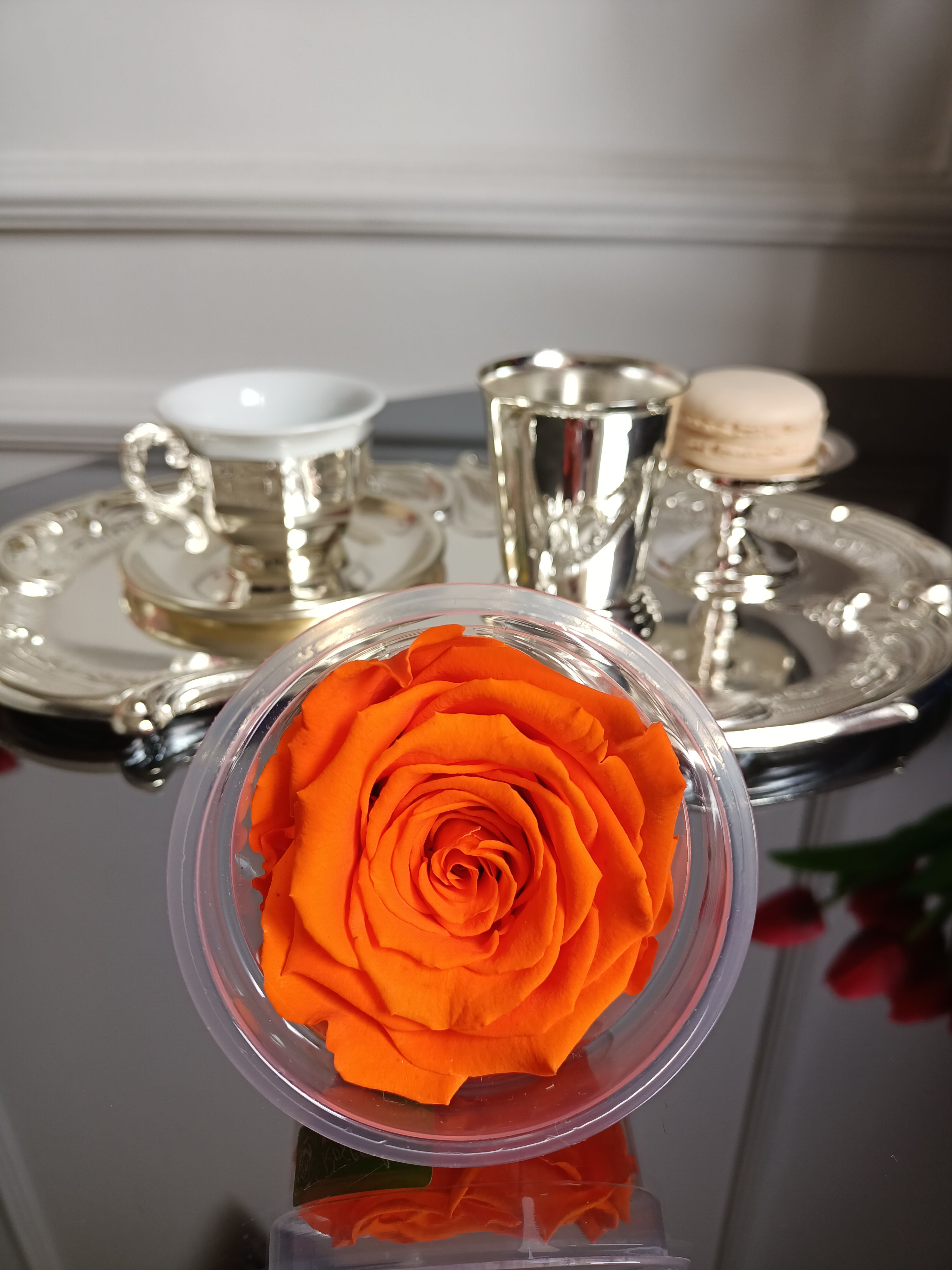 ORANGE NON-FALING EQUATORIAL ROSE