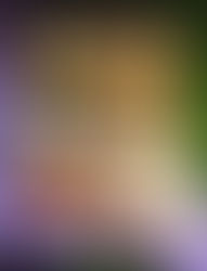 Adopt a Newborn Pound Puppy!