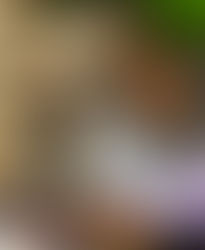 Spring Showers Bring New Toys!