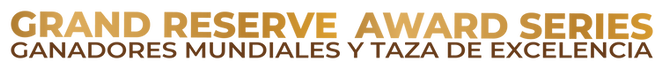 LETRAS DE WEB-02.png