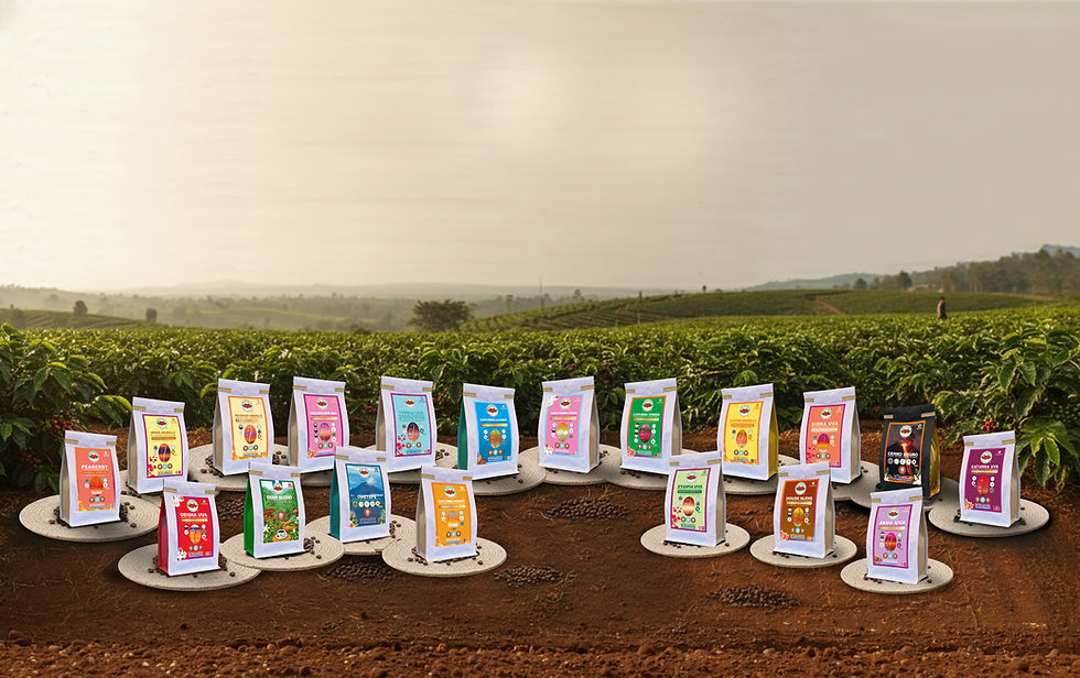 DELAFINCA SPECIALTY COFFEE presenta su Colección No.10: Una nueva forma de descubrir el café a través de los sentidos