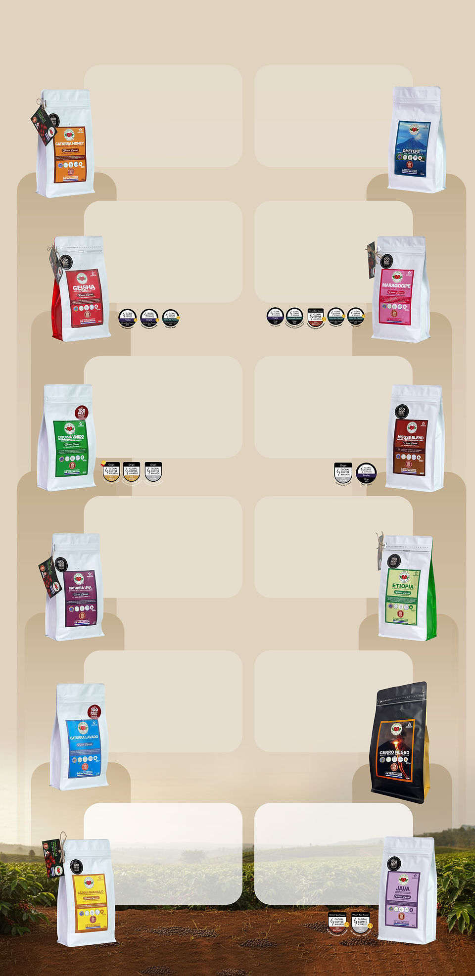 05-FONDO BOLSAS.jpg