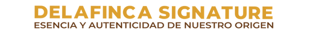 LETRAS DE WEB-04.png