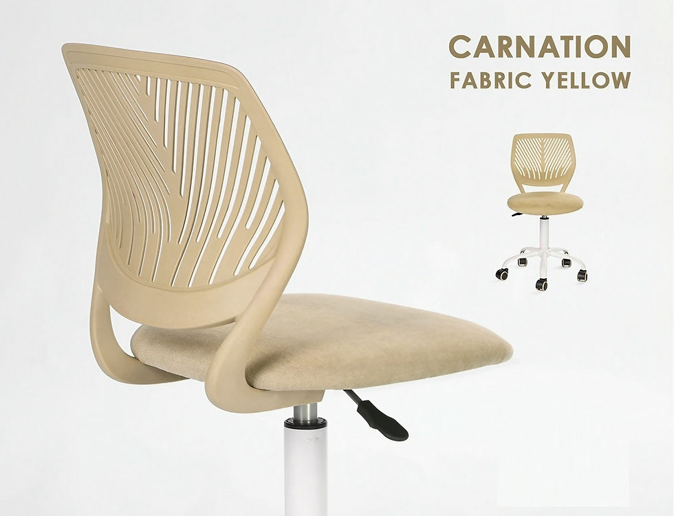 תמונה ממוזערת: קרניישן קרם -  כיסא תלמיד - CARNATION VERITA BEIGE