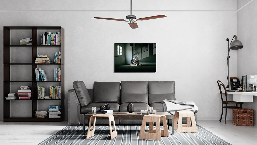 PNT-LS2260 - תמונה דקורטיבית על גבי זכוכית מחוסמת - משלוח חינם