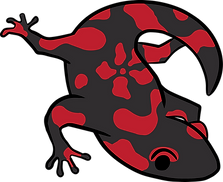 Cartoon fire salamander with  a lower pattern on the back
