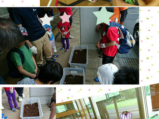 湯来交流センターに行きました