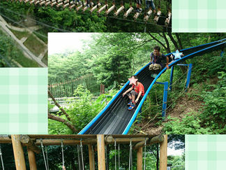 最近のミリミリーの様子