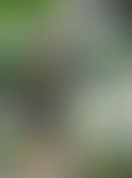 mili millie farm❣️