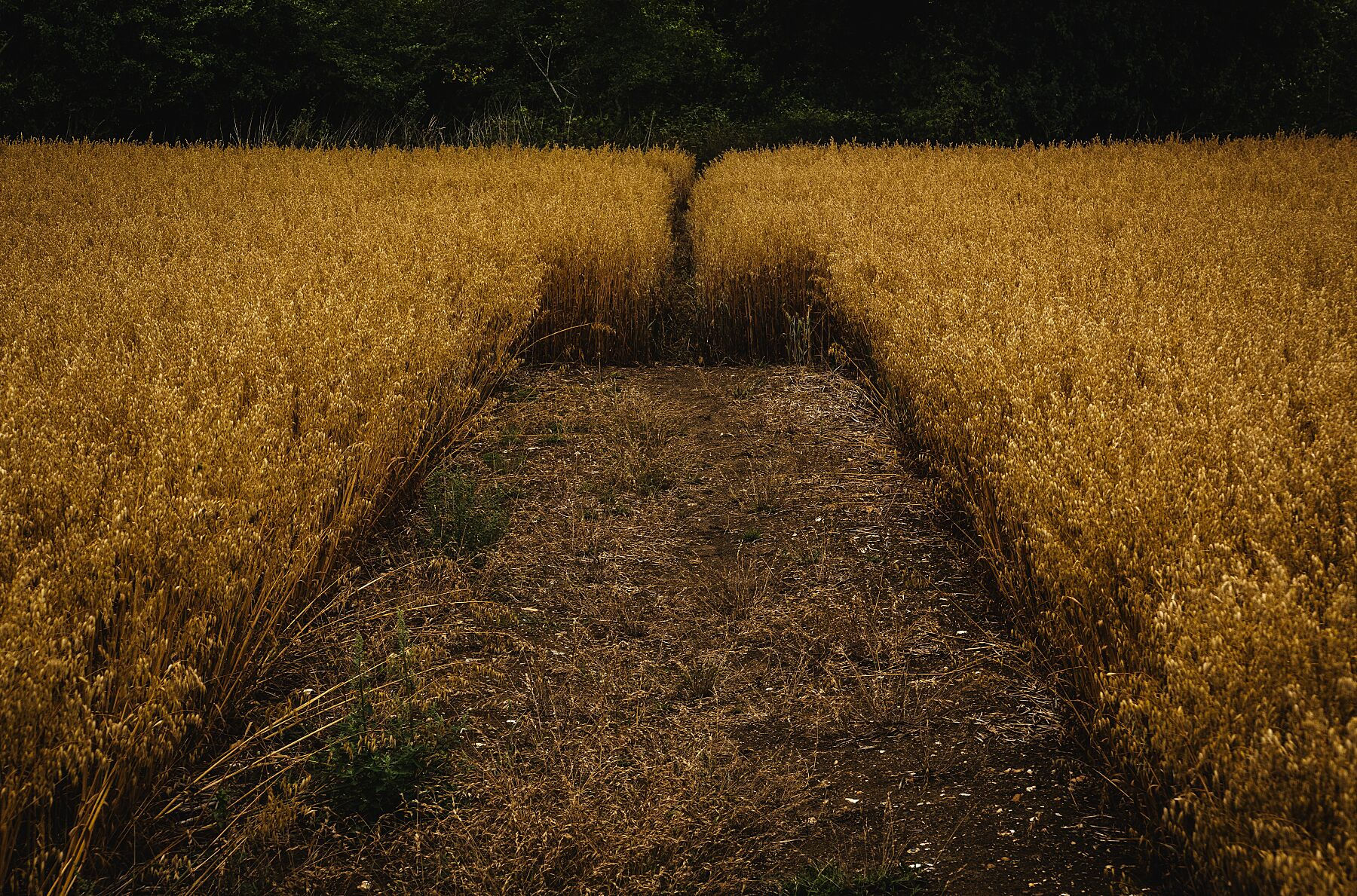 The End of the beginning, July,UK