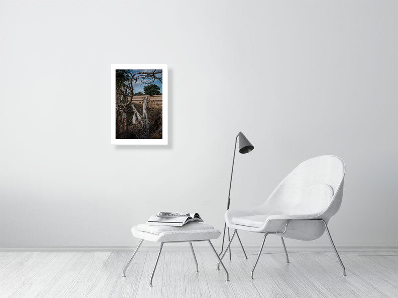 Thumbnail: Hedgerow Scene, Uk