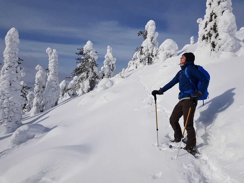 Tailor Your Experience with MyTrail's Private Guided Tours