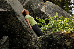 Forest yoga Metsajooga.png