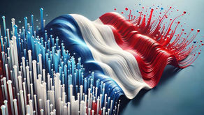 France Import VAT Autoliquidation: Improve Cash Flow for Importers