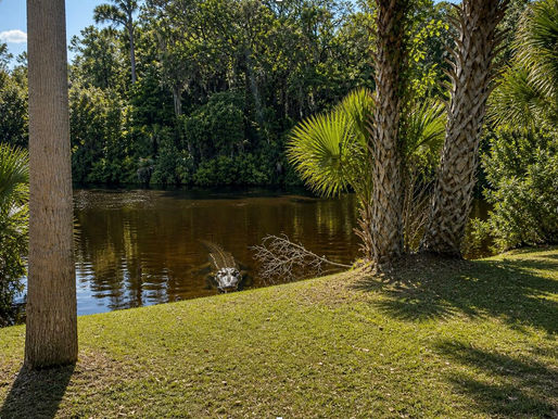 Alligator partially emerging from a calm lagoon near a grassy bank and palm trees, with only its head and back visible above the water, illustrating something hidden beneath the surface.