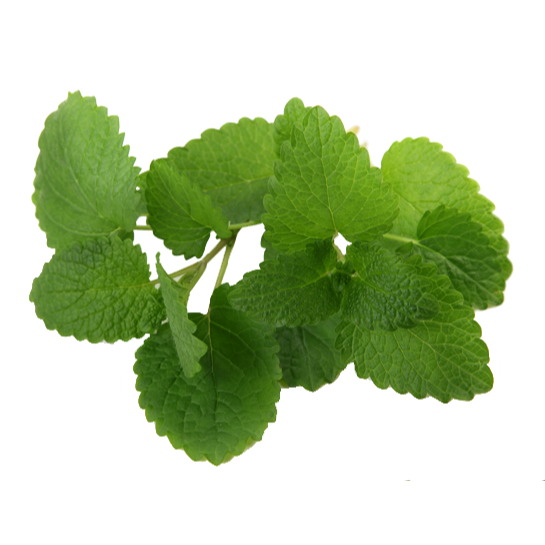 Thumbnail: LIONSE HAWAIIAN MASSAGE CREAM MINT