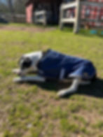 Dugan in his coat