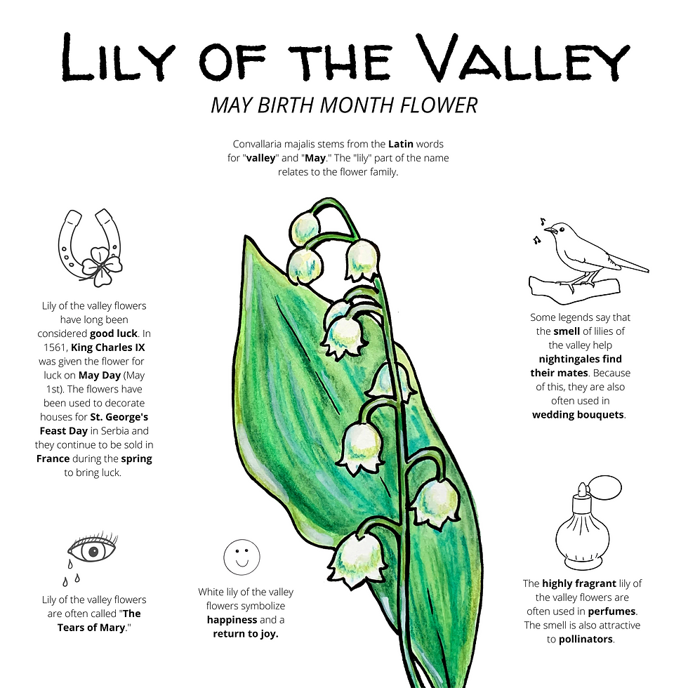 Thumbnail: Birth Month Flower Prints 8x8"