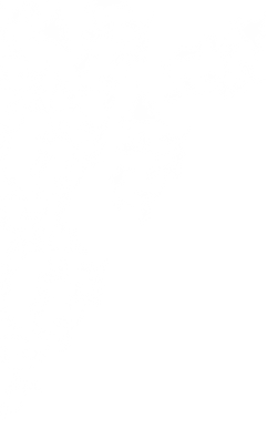 floral top right_edited.png