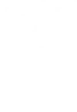 floral top right.png