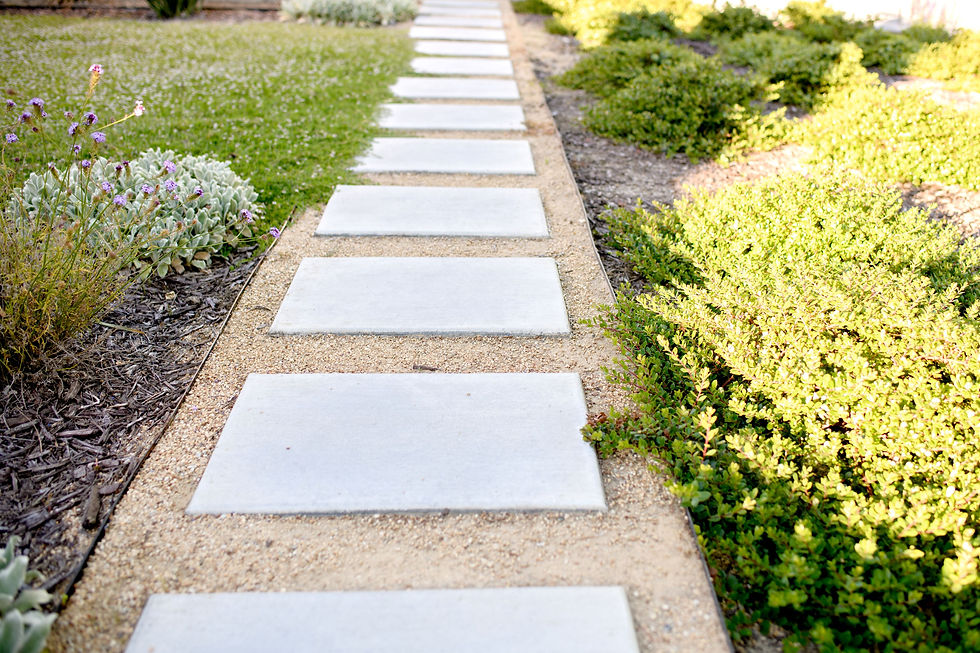 New Front Walkway with Kurapia spilling over