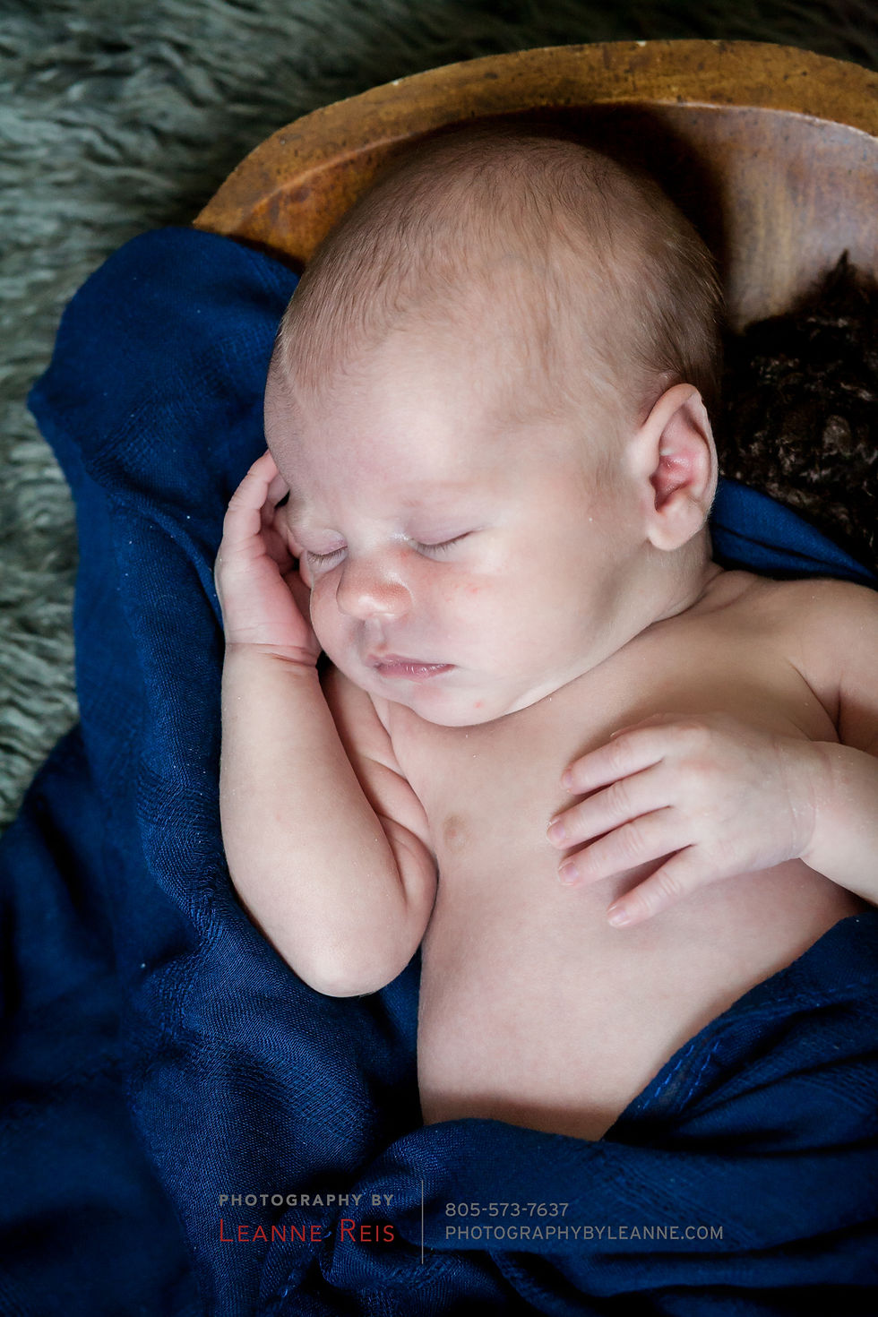 Milestone Portrait Sessions!