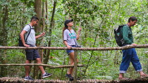 Guide Rodolfo Juan leads a Belize family tour across a stick bridge during a Mountain Pine Ridge hike