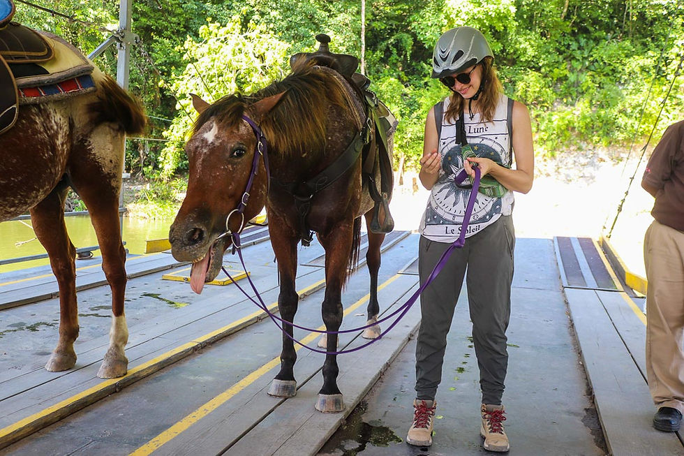 Playful horse sticks out tongue at San Jose Succotz ferry on Xunantunich horseback tour