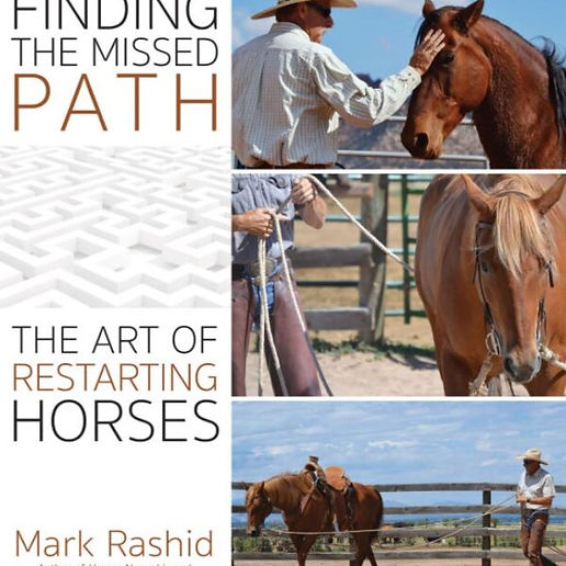Books | Considering The Horse