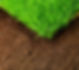 depositphotos_21807187-stock-photo-healthy-grass-and-soil.jpg