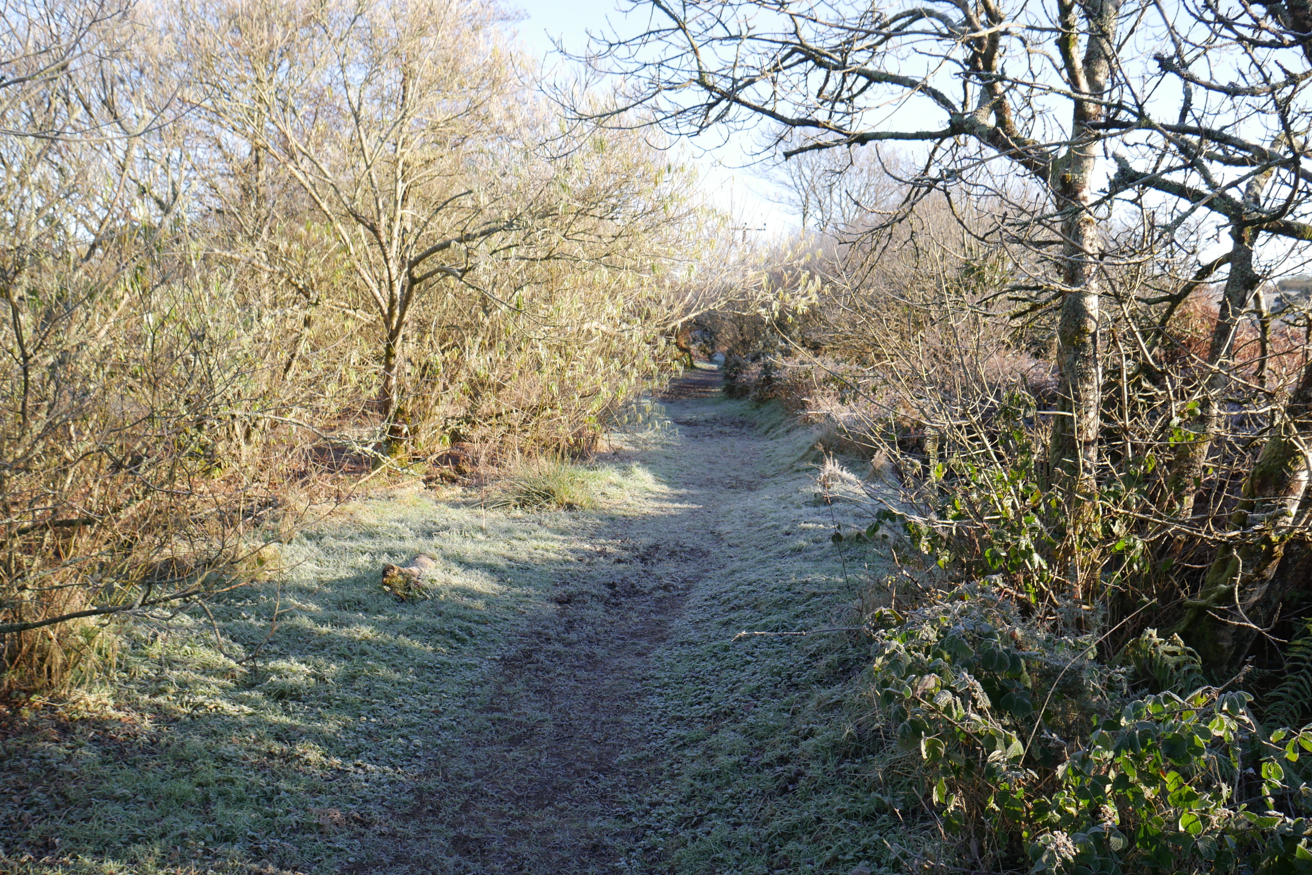 P1030045