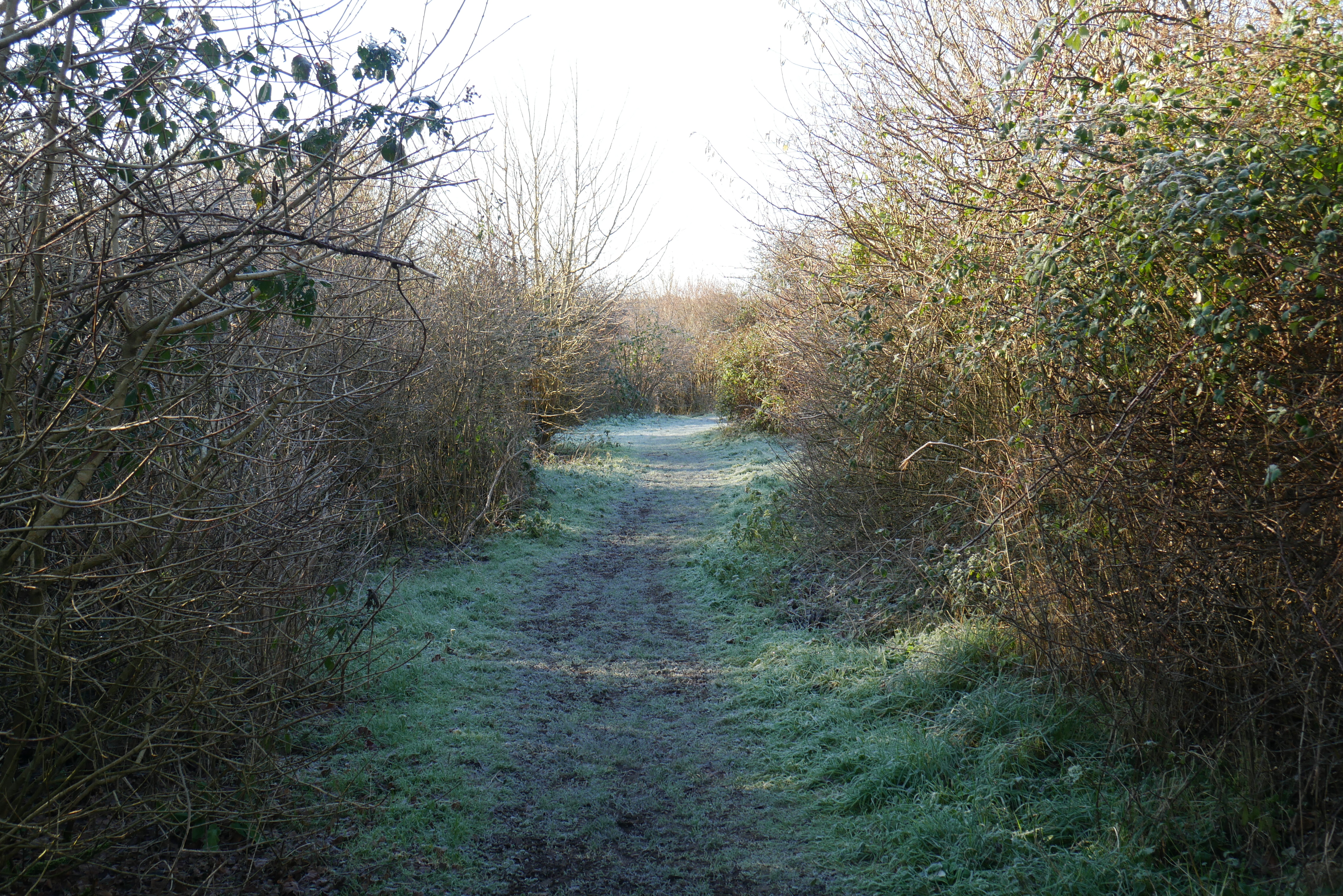 P1030054