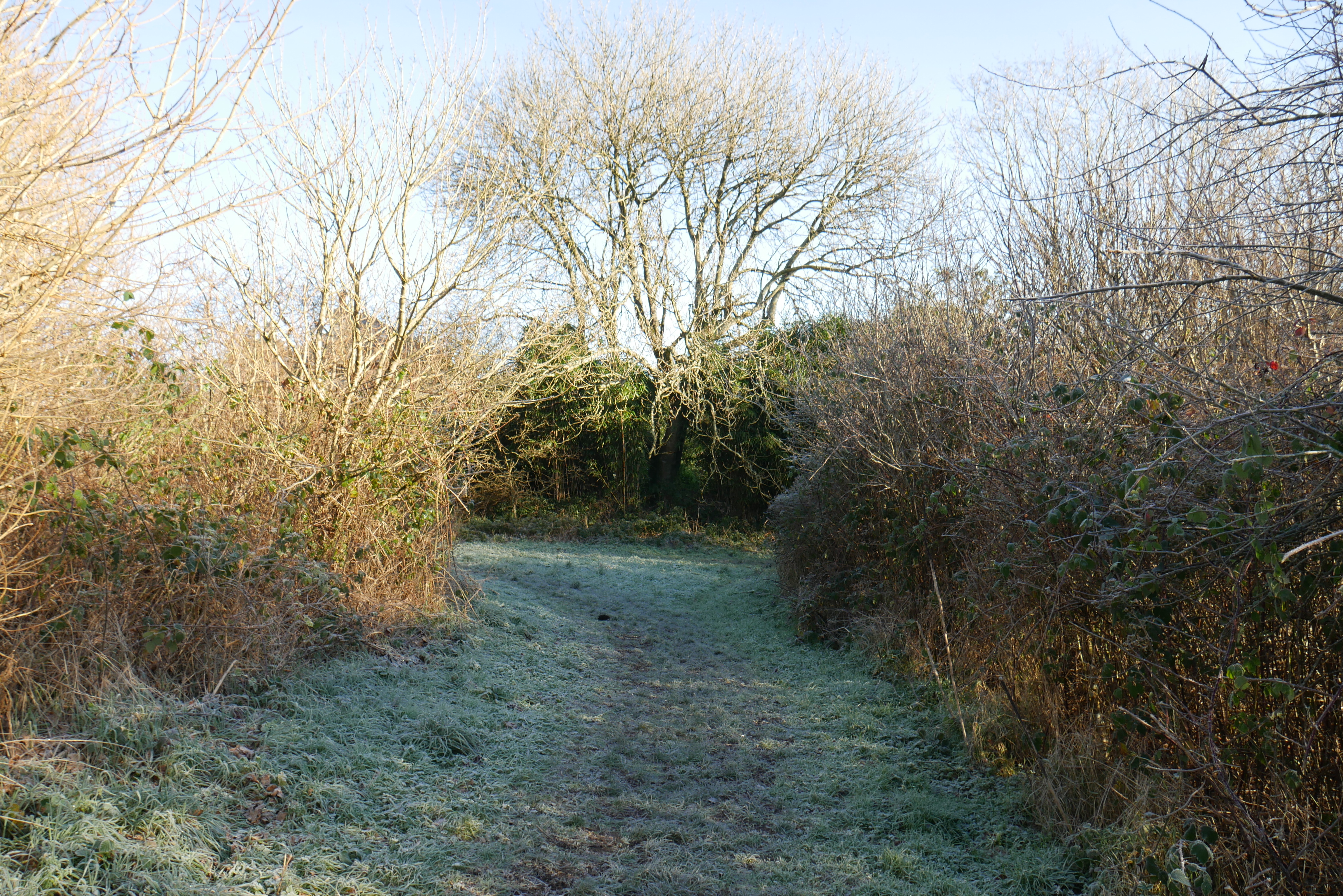 P1030062