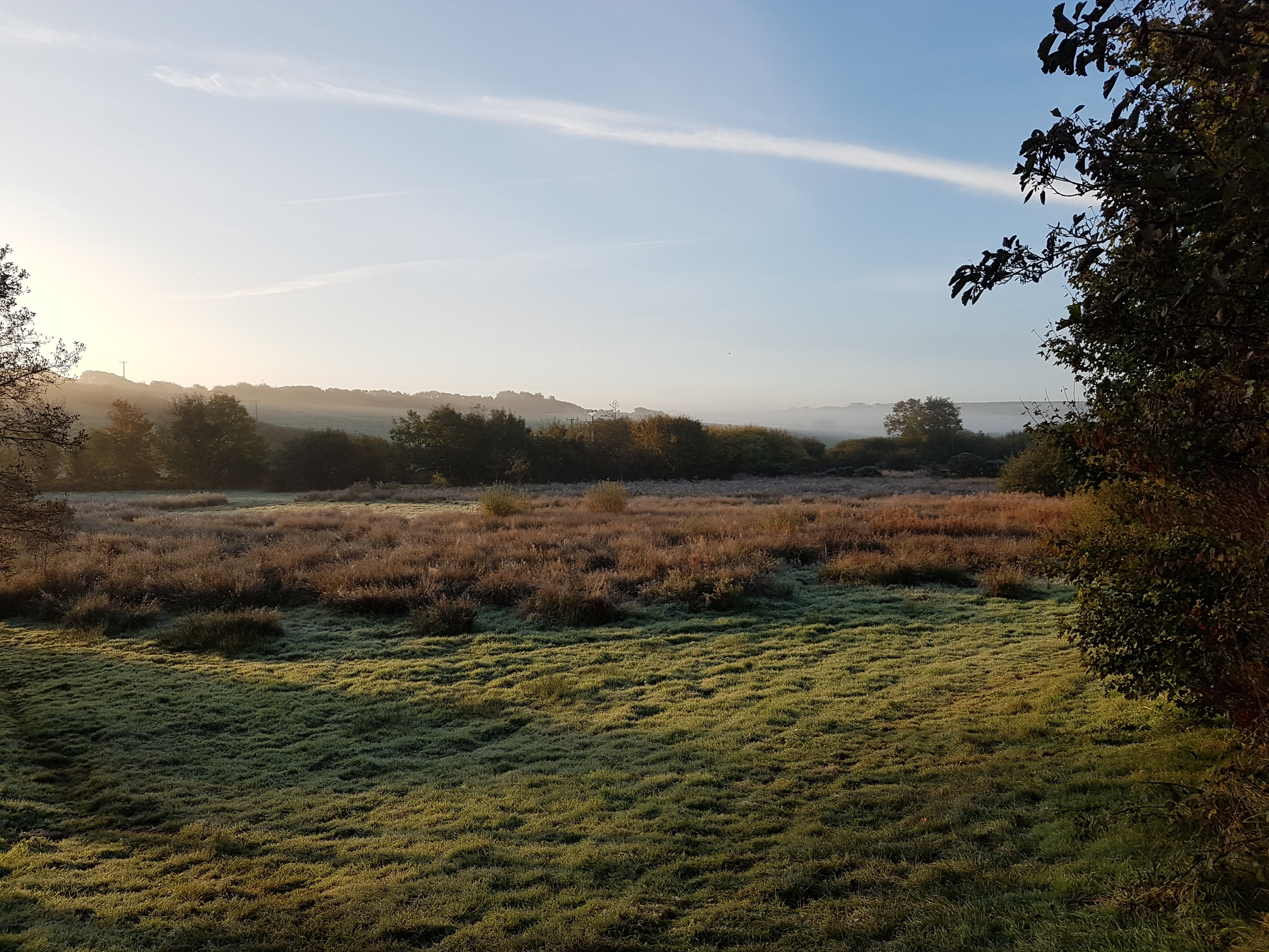 20161021_083513