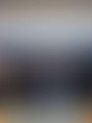 Mayor, City Leaders Announce Plans to Strengthen Spay & Neuter, Abandoned Animal Laws