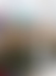 City Council Recap | January 2024