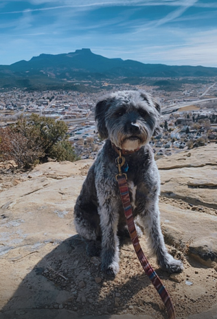 Screen Shot 2022-08-25 at 2.13.37 PM.png