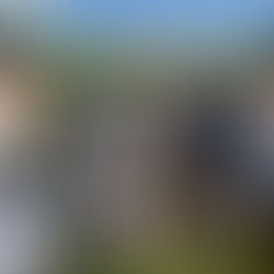 VV lança programa de formação para ações humanitárias e premia jovens da Soul Bilíngue