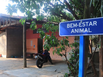 Meio Ambiente afirma que vai contratar vigilância 24 horas para o Parque Pinheirinho