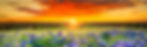 natural colors sunset