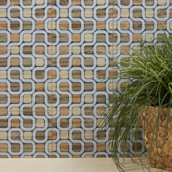 NC229386 (b)