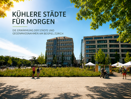 Grünfläche in Zürich