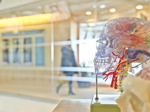 Как мозъкът решава дали една идея заслужава внимание: Скритата невронаука на убеждаването