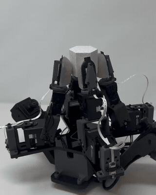 vertical.gif