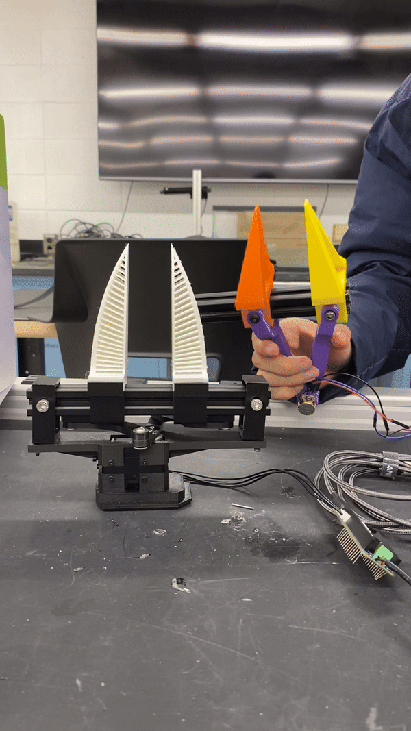 image1.gif