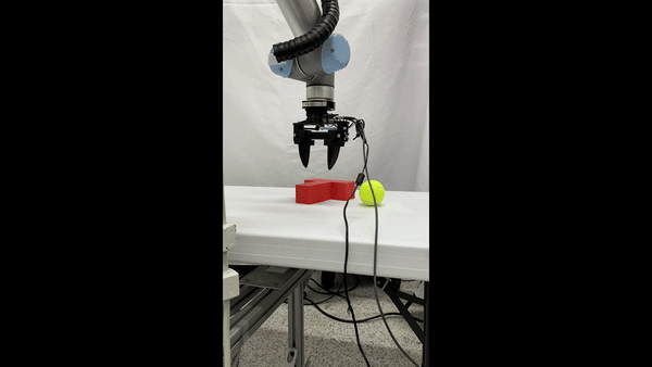 image2.gif