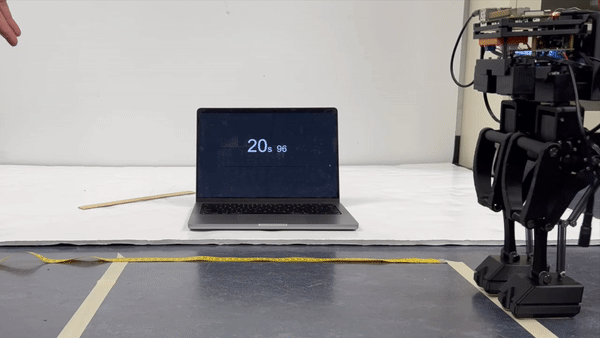 ezgif.com-video-to-gif.gif