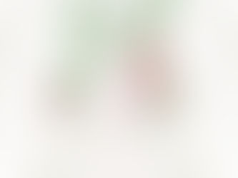 Tronco Linfático Intestinal