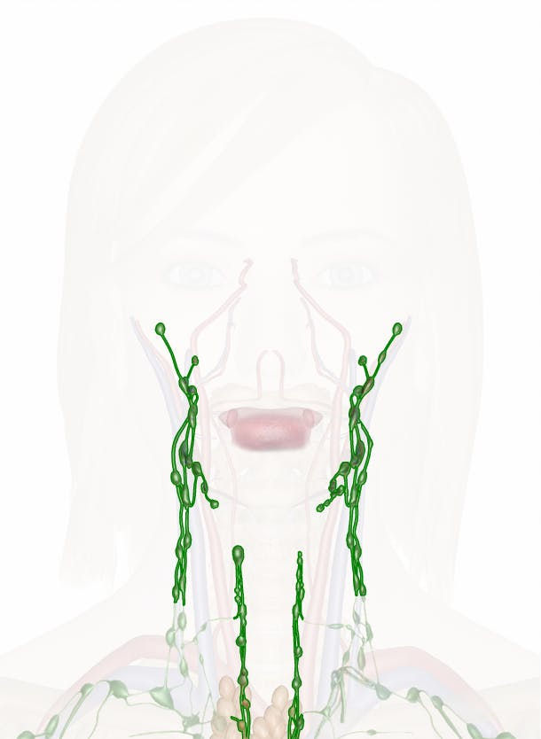 Nodos Cervicais