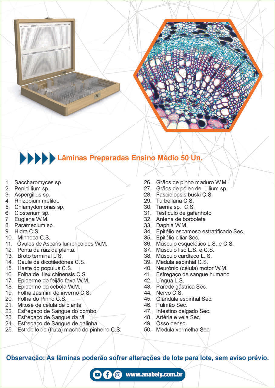 Lâminas Preparadas Ensino Médio com 30 Unid.